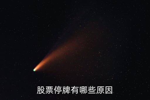 獅頭股份為什么停牌，股票為什么停牌