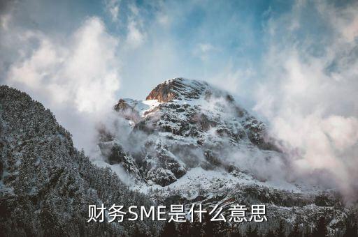 sme業(yè)務是什么，sme是什么