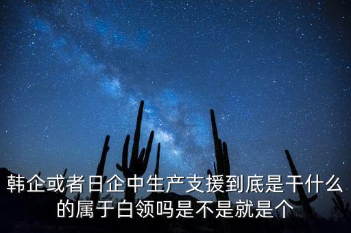 韓企或者日企中生產支援到底是干什么的屬于白領嗎是不是就是個