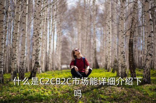 什么是C2CB2C市場能詳細(xì)介紹下嗎