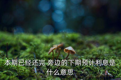 本期已經(jīng)還完 旁邊的下期預(yù)計(jì)利息是什么意思