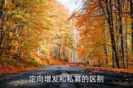 定向增發(fā)和私募的區(qū)別