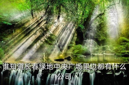 誰知道長(zhǎng)春綠地中央廣場(chǎng)里邊都有什么公司