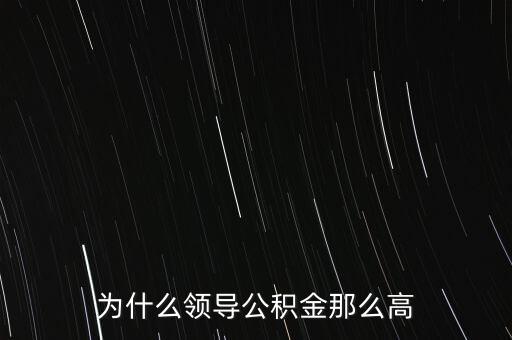 為什么領(lǐng)導(dǎo)公積金那么高