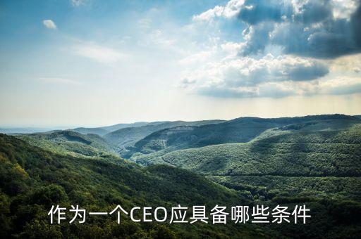 作為一個CEO應具備哪些條件