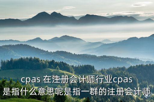 cpas 在注冊會計師行業(yè)cpas是指什么意思呢是指一群的注冊會計師