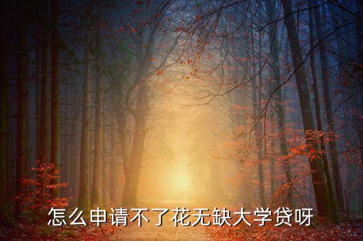 怎么申請(qǐng)不了花無(wú)缺大學(xué)貸呀