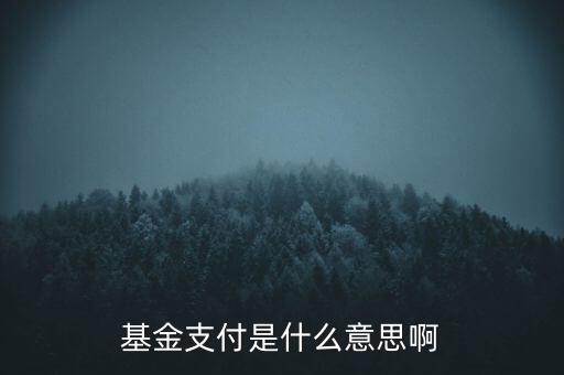 基金支付是什么意思啊