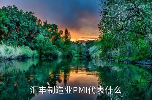 匯豐制造業(yè)PMI代表什么