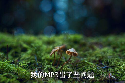 我的MP3出了些問(wèn)題