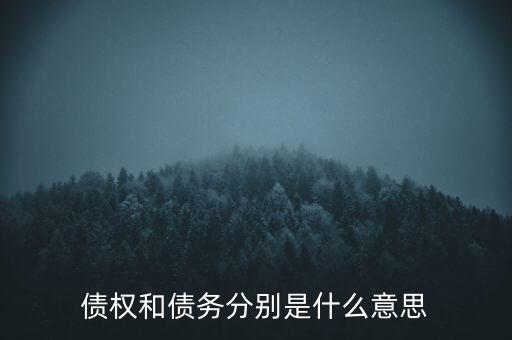 bsp票款債權(quán)是什么，銀行理財業(yè)務(wù)里面的liborbsp是什么意思