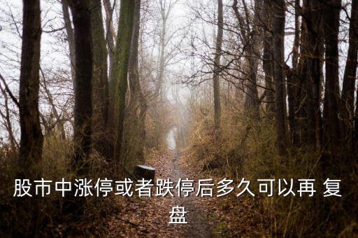 股市中漲停或者跌停后多久可以再 復(fù)盤