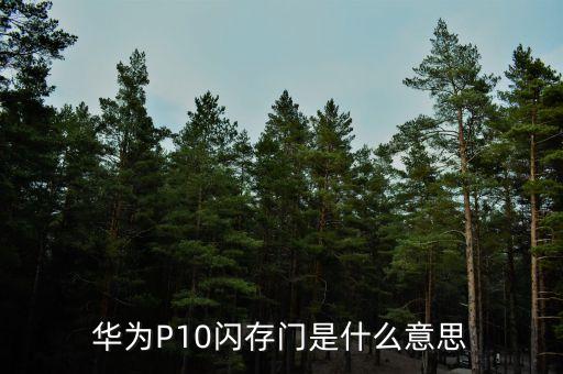 華為P10閃存門是什么意思