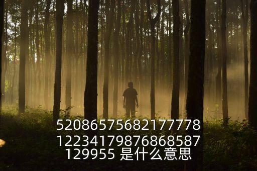 5208657568217777812234179876868587129955 是什么意思