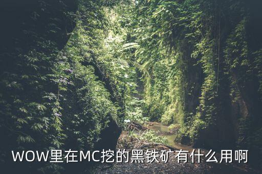 WOW里在MC挖的黑鐵礦有什么用啊