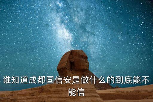 國投安信是做什么的，四川安信投網(wǎng)絡科技有限公司是做什么的