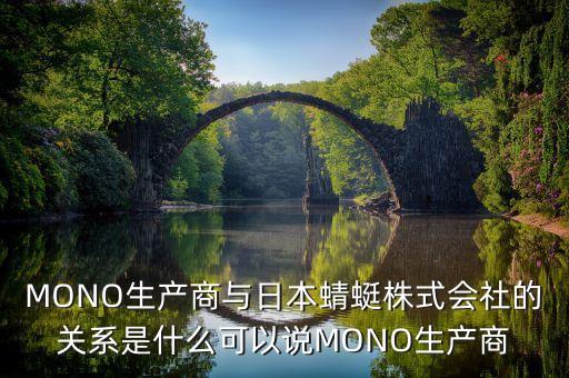 第一資本為什么收購mono，再談為什么要使用MONO