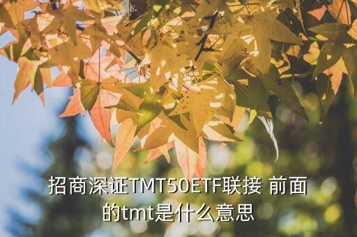 招商深證TMT50ETF聯(lián)接 前面的tmt是什么意思