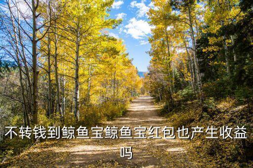 不轉(zhuǎn)錢到鯨魚寶鯨魚寶紅包也產(chǎn)生收益嗎