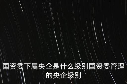 中央企業(yè)專職外部董事是什么級別，央企比如移動 電信 聯(lián)通 中石油石化 這些企業(yè)縣的老總是什么級別