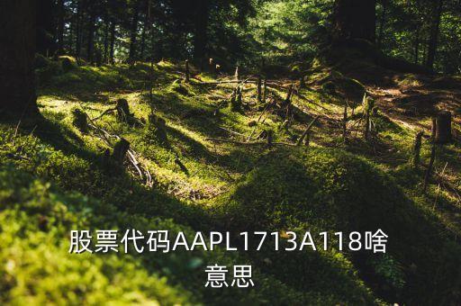 股票代碼AAPL1713A118啥意思