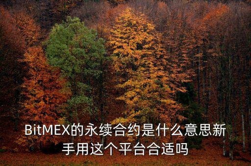 永續(xù)中票是什么意思，BitMEX的永續(xù)合約是什么意思新手用這個(gè)平臺(tái)合適嗎