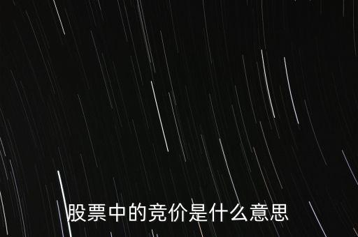 股票競價什么意思，股票競價什么意思