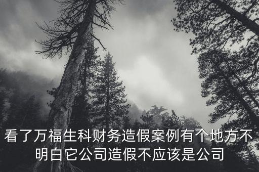 看了萬福生科財(cái)務(wù)造假案例有個(gè)地方不明白它公司造假不應(yīng)該是公司