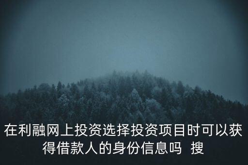 在利融網(wǎng)上投資選擇投資項(xiàng)目時(shí)可以獲得借款人的身份信息嗎  搜