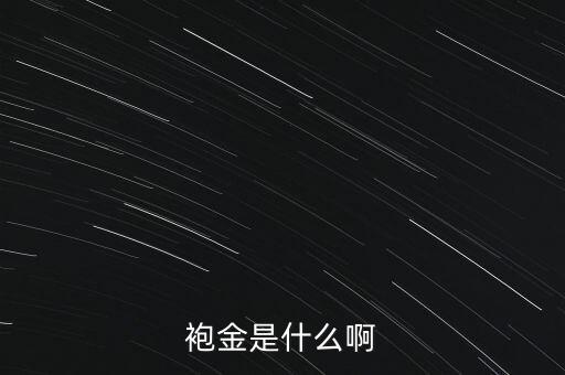 什么是董事酬金，袍金是什么啊