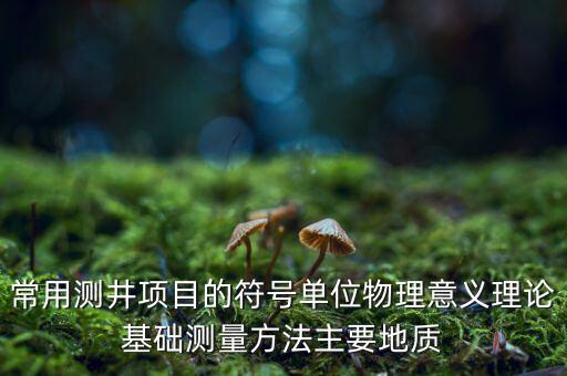 常用測(cè)井項(xiàng)目的符號(hào)單位物理意義理論基礎(chǔ)測(cè)量方法主要地質(zhì)