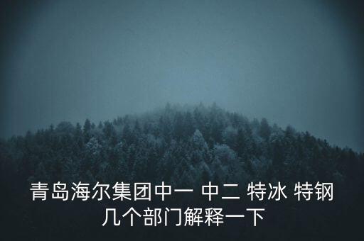 海爾內(nèi)銷是什么意思，有帶鎖的冰箱么冷藏冷凍功能都要有的謝謝