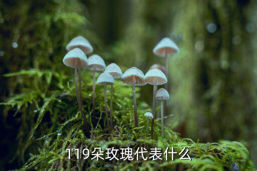 送119朵花代表什么，一百九十九朵玫瑰花代表什么意思