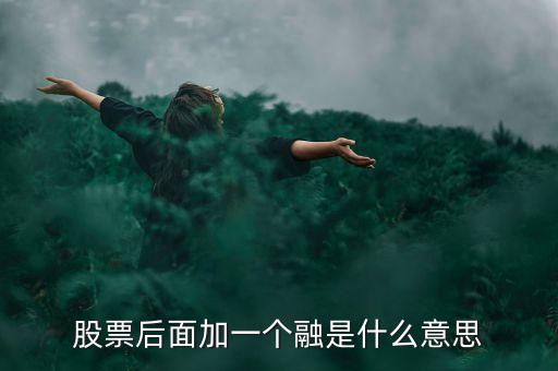 什么是一融雙新，股票后面加一個融是什么意思