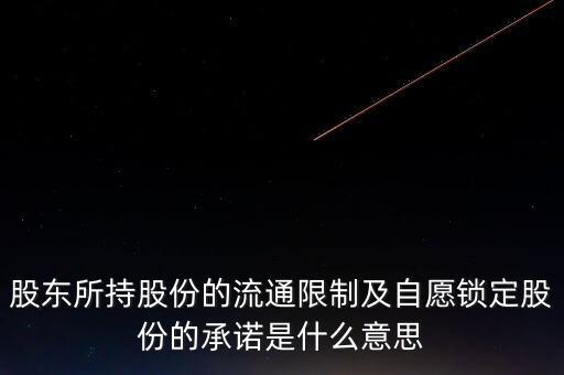 股東所持股份的流通限制及自愿鎖定股份的承諾是什么意思