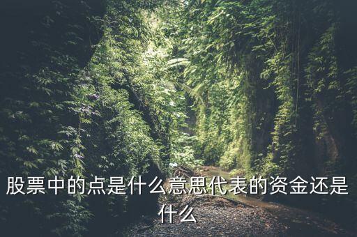 股票中的點(diǎn)是什么意思代表的資金還是什么