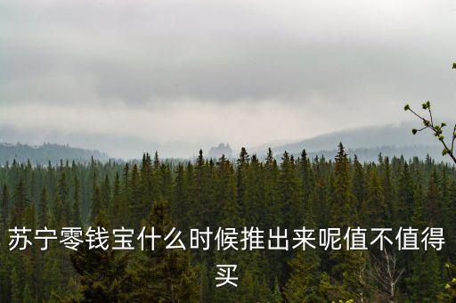 零錢寶什么時(shí)候上線的，蘇寧零錢寶什么時(shí)候推出來呢值不值得買