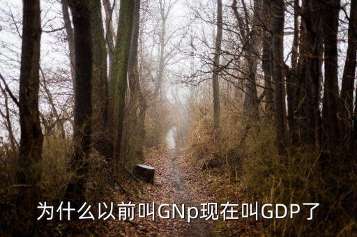 什么時候gnp大于gdp，預(yù)測我國未來10年GDP和GNP的大小關(guān)系