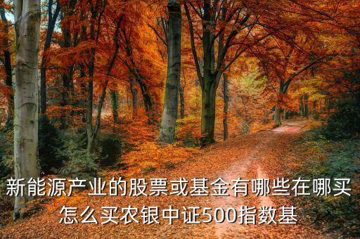 500等權(quán)指數(shù)是什么，500等權(quán)b是b股嗎普通a股賬戶可以買賣嗎