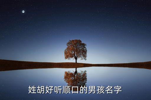 男孩子胡瑞什么好聽，誰幫忙想個名字姓胡要一男一女的名字最好多想點謝謝拉  搜