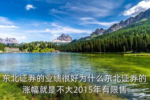 東北證券的業(yè)績很好為什么東北證券的漲幅就是不大2015年有限售