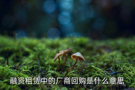 融資租賃中的廠商回購是什么意思