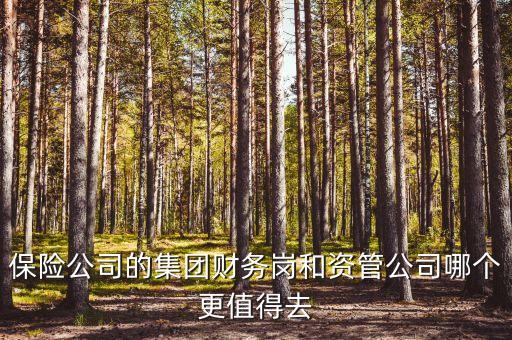 保險公司的集團(tuán)財務(wù)崗和資管公司哪個更值得去