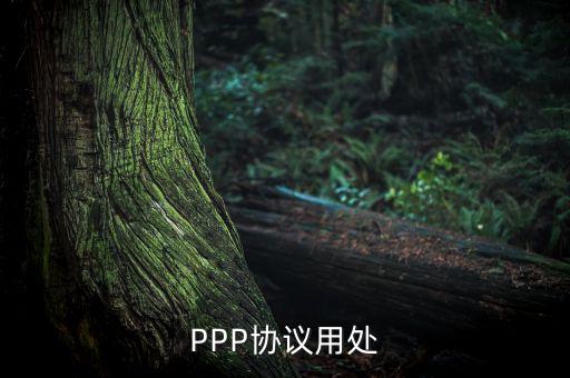 PPP協(xié)議用處