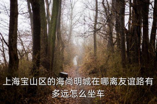 上海寶山區(qū)的海尚明城在哪離友誼路有多遠(yuǎn)怎么坐車