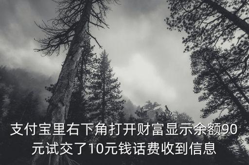 支付寶里右下角打開財富顯示余額90元試交了10元錢話費收到信息