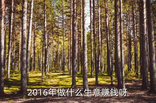 2016做什么能發(fā)財，2016年做什么生意賺錢呀