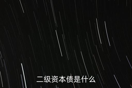 二級(jí)資本債是什么