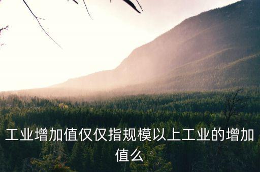 工業(yè)增加值僅僅指規(guī)模以上工業(yè)的增加值么