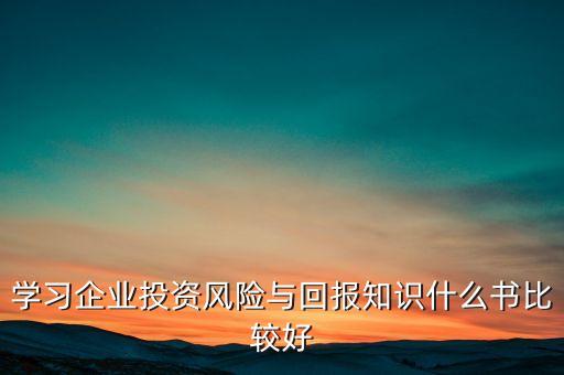 學(xué)習(xí)企業(yè)投資風(fēng)險(xiǎn)與回報(bào)知識(shí)什么書(shū)比較好